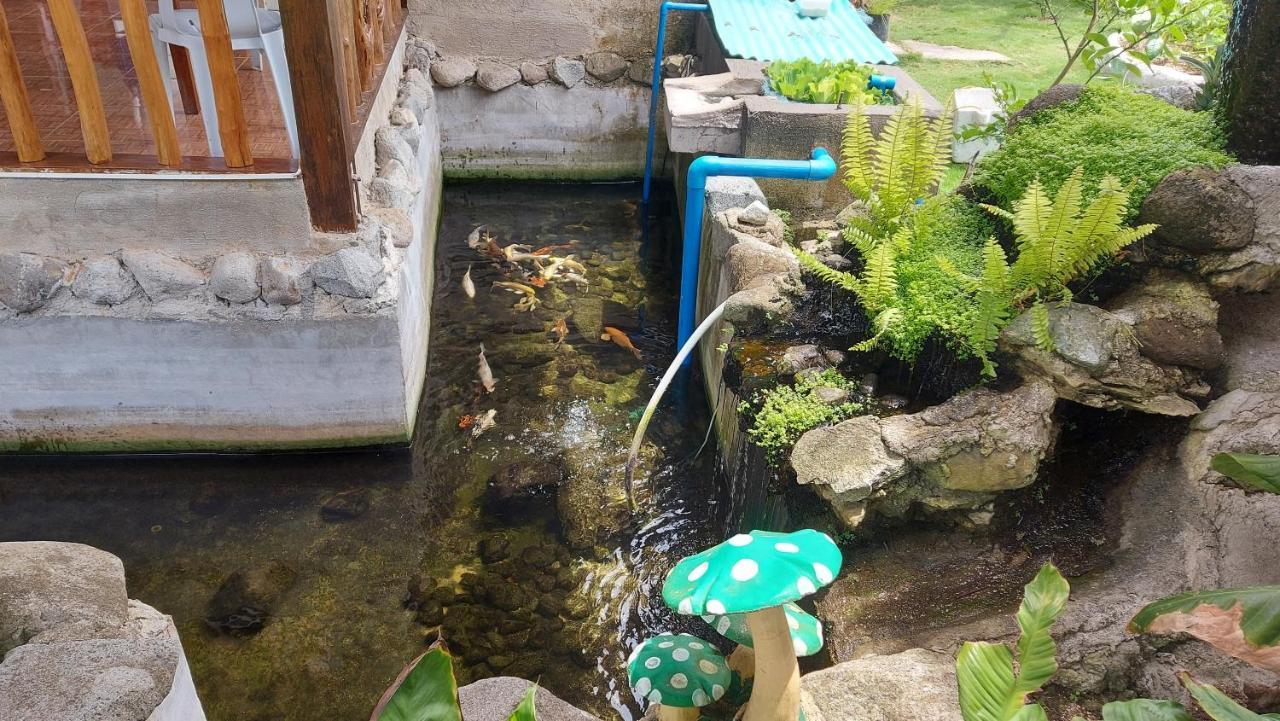 ג'נרל לונה Gardenview Homestay Siargao מראה חיצוני תמונה